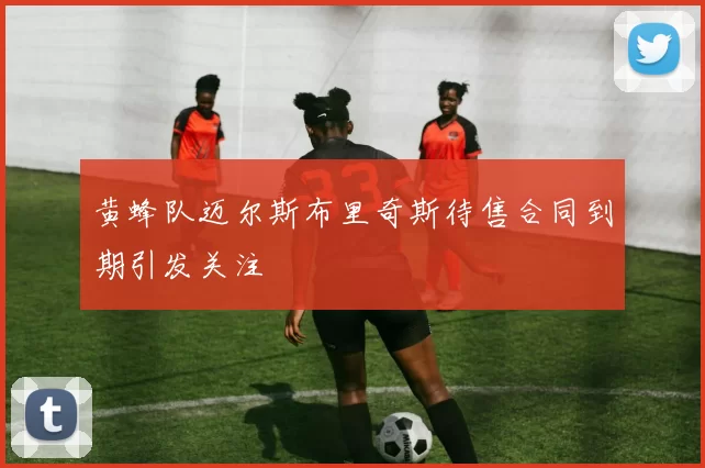 黄蜂队迈尔斯布里奇斯待售合同到期引发关注