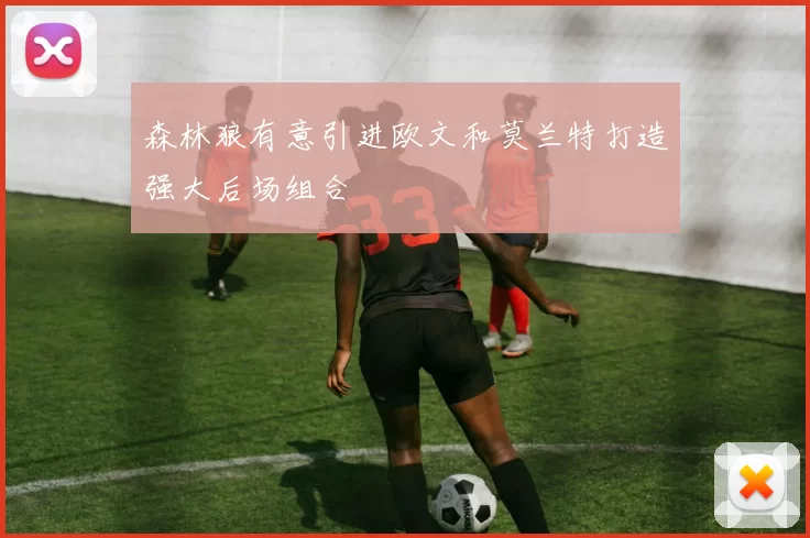 森林狼有意引进欧文和莫兰特打造强大后场组合